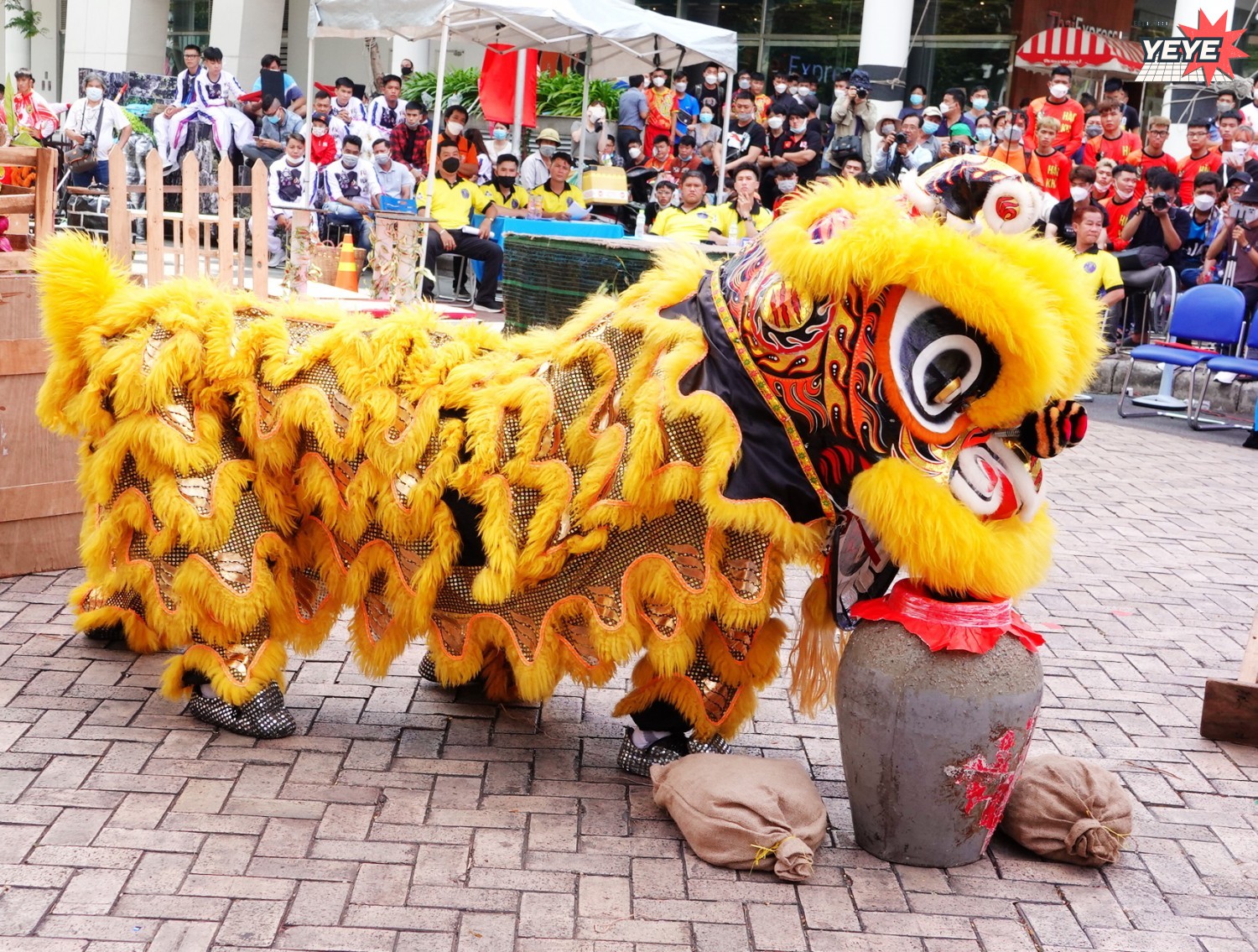 Dịch vụ Lân sư rồng Thành Phố Hồ Chí Minh,Phong cách chuyên nghiệp (3)