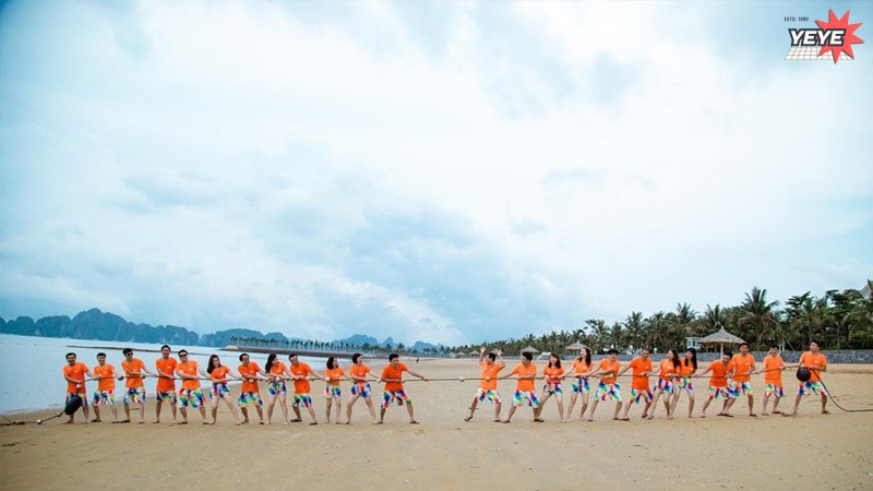 Top Những Công Ty Tổ Chức Team Building Uy Tín, Chất Lượng, Giá Rẻ Tại Đà Nẵng