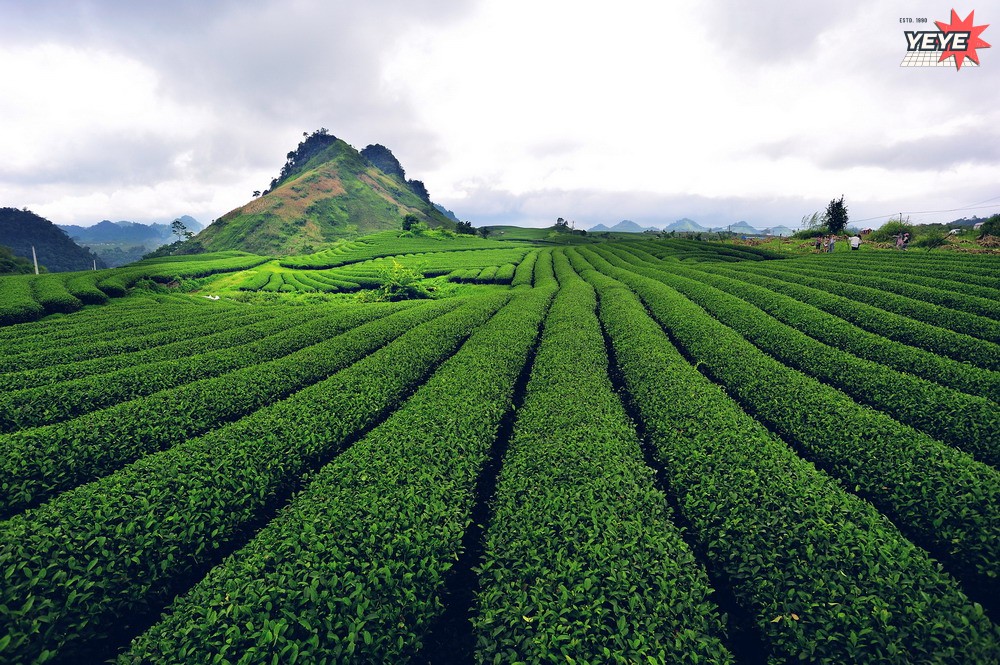 Check in điểm đi Tour du lịch giá rẻ Sơn La trọn gói (3)