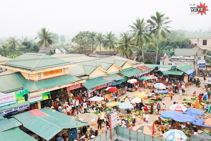 Đi Tour du lịch giá rẻ Đông Hà Quảng Trị không phải ai cũng biết (1)