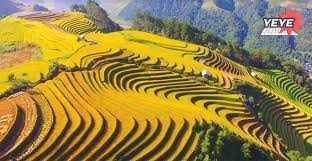 Kinh nghiệm đi Tour du lịch giá rẻ Yên Bái 2 ngày 1 đêm (2)