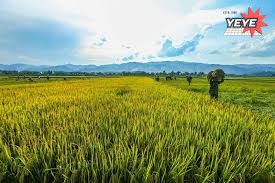 Kinh nghiệm đi Tour du lịch giá rẻ Yên Bái 2 ngày 1 đêm (3)